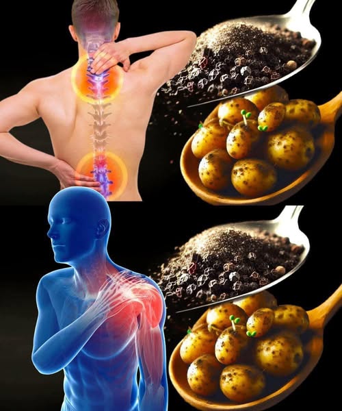 653709481 122211893498566851 987835721578974580 n