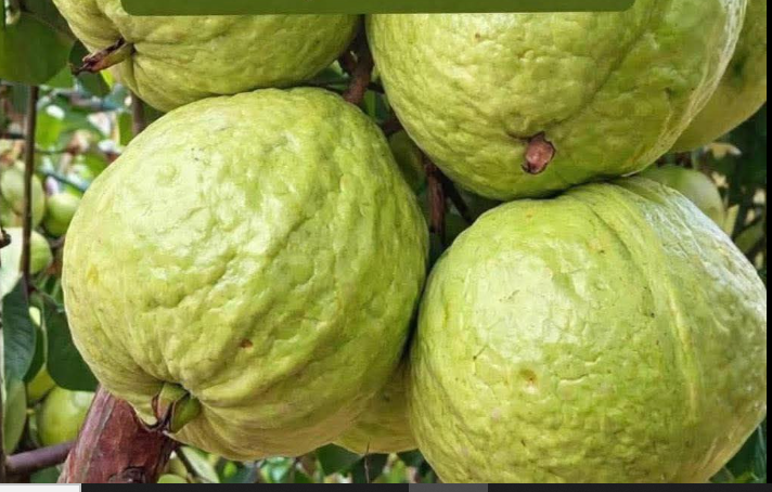 screenshot 2026 03 18 213152